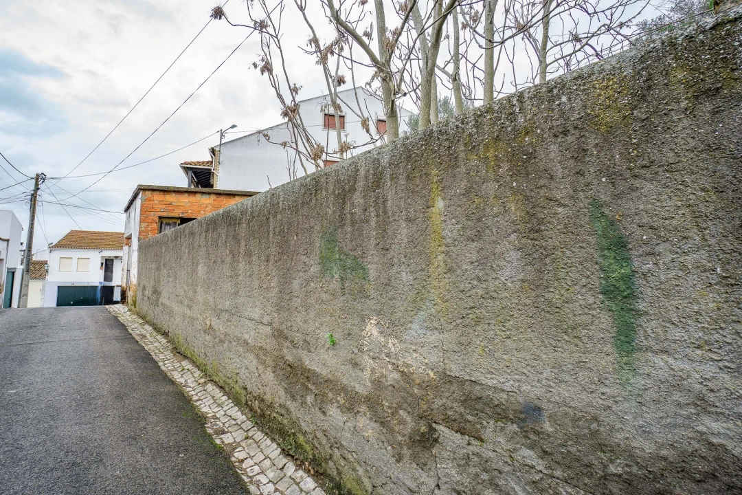 Armazém para Venda em Chamusca e Pinheiro Grande Foto 19