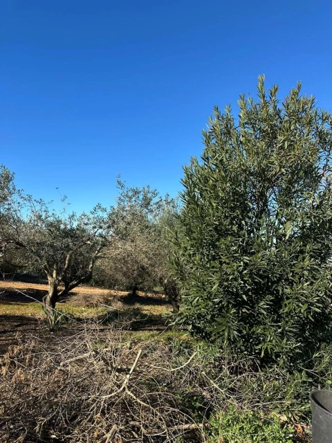 Apartamento T6 para Venda em Lagoa e Carvoeiro