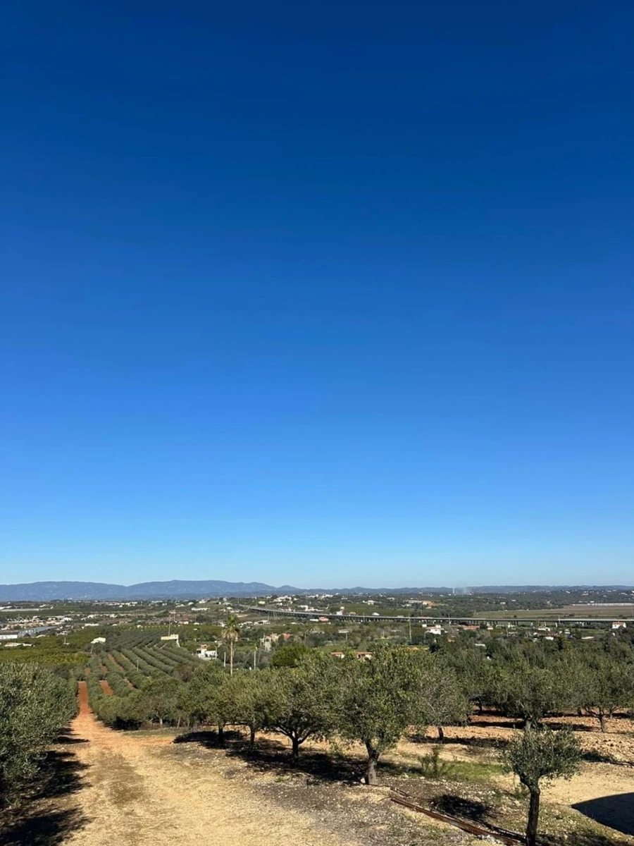 Apartamento T6 para Venda em Lagoa e Carvoeiro Foto 17