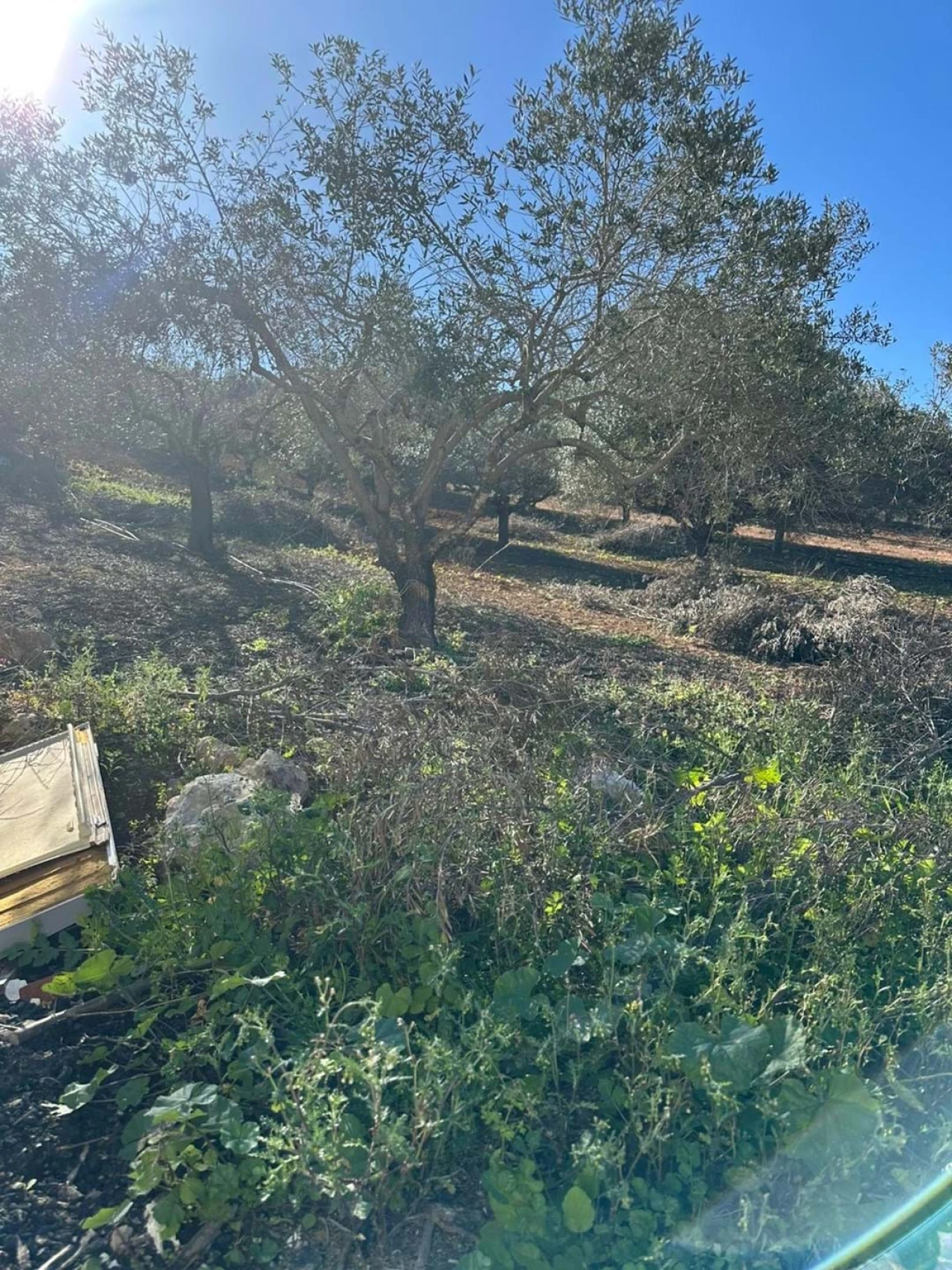 Apartamento T6 para Venda em Lagoa e Carvoeiro Foto 16