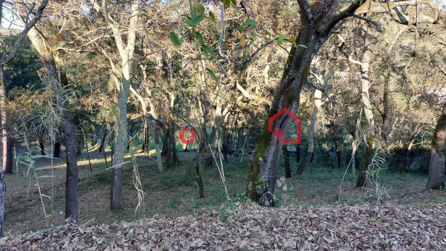 Moradia T2 para Venda em Nossa Senhora da Piedade Foto 8