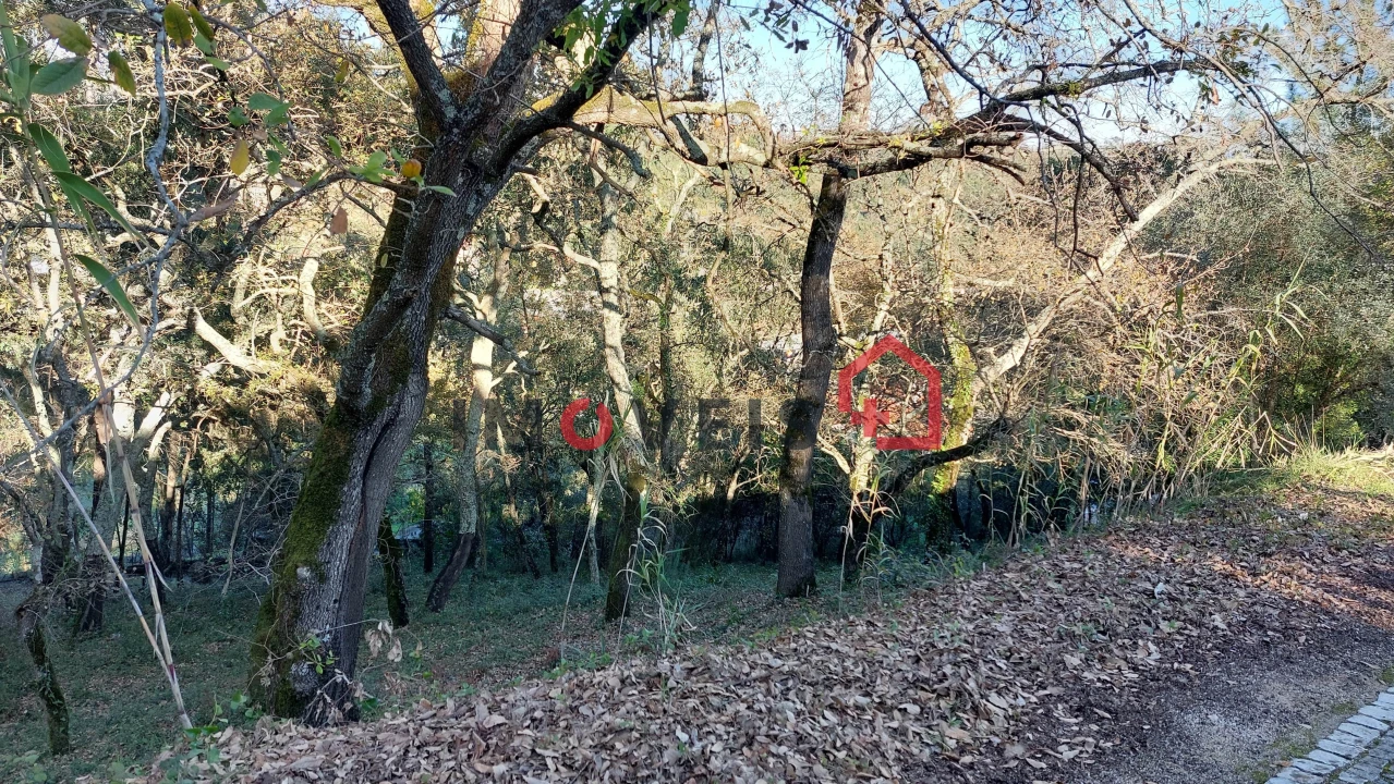 Moradia T2 para Venda em Nossa Senhora da Piedade Foto 10