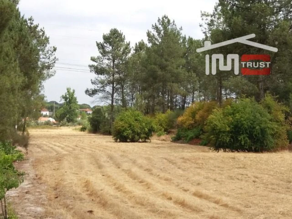 Terreno para Venda em Biscainho Foto 3