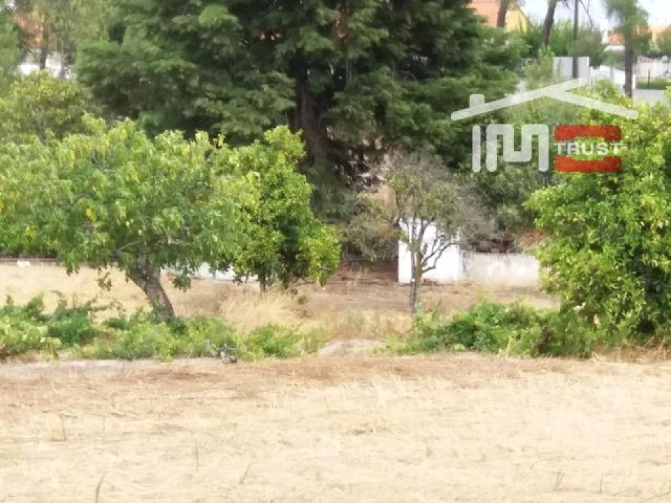 Terreno para Venda em Biscainho Foto 10