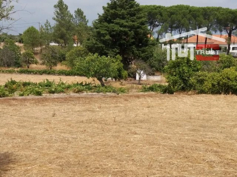Terreno para Venda em Biscainho Foto 11
