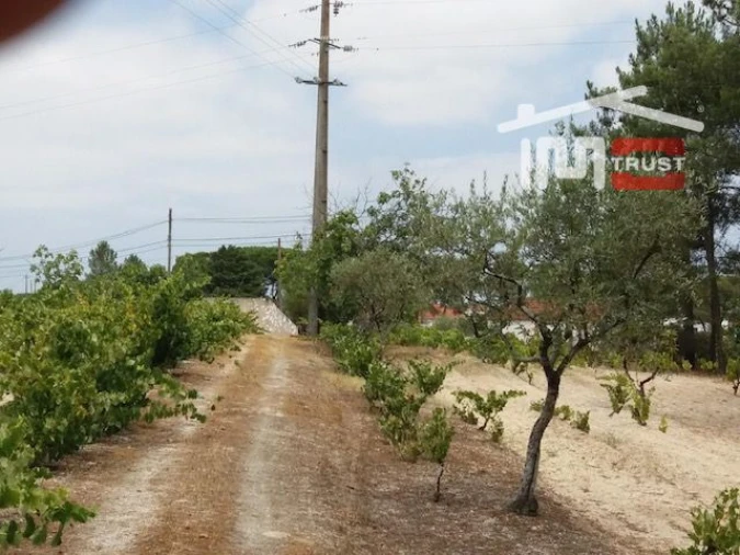 Terreno para Venda em Biscainho Foto 4