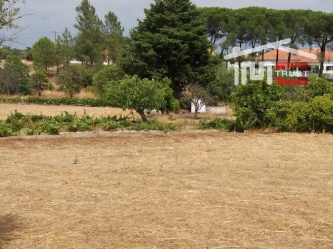 Terreno para Venda em Biscainho Foto 8