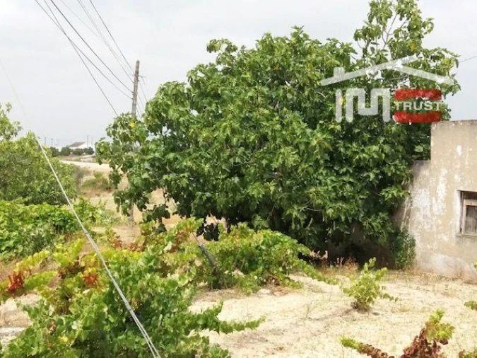 Terreno para Venda em Biscainho Foto 9