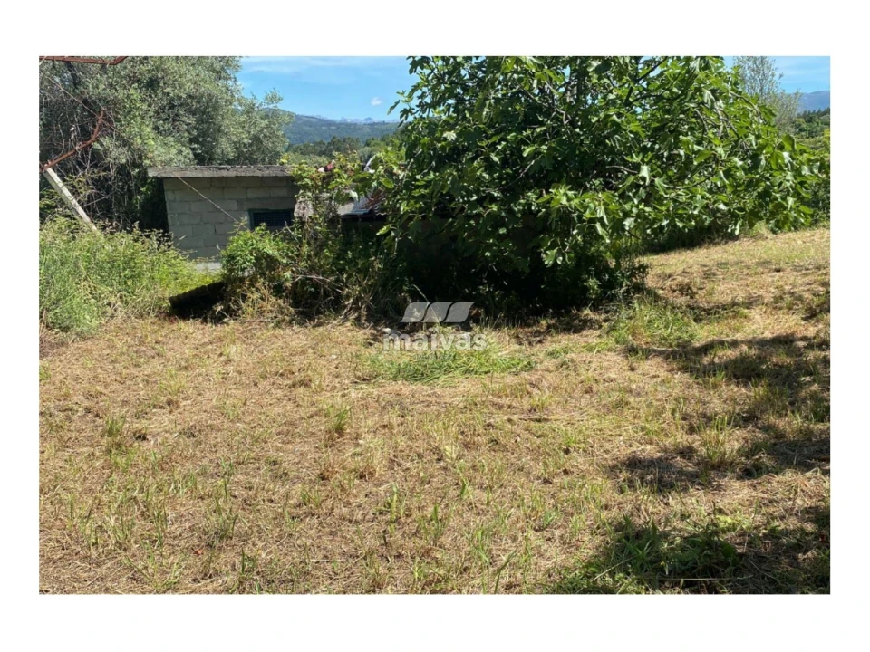 Terreno Misto para Venda em Sobradelo da Goma Foto 14