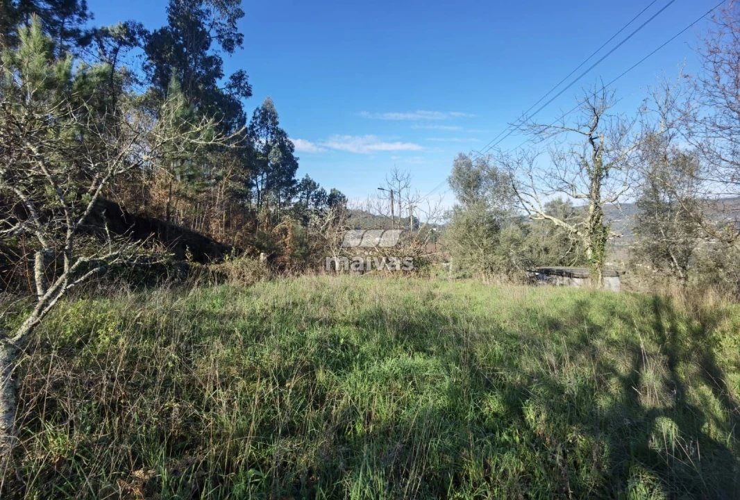 Terreno Misto para Venda em Sobradelo da Goma Foto 17