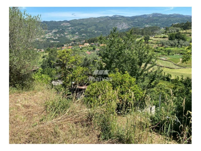 Terreno Misto para Venda em Sobradelo da Goma Foto 12