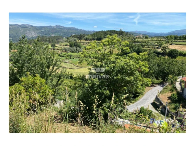 Terreno Misto para Venda em Sobradelo da Goma Foto 15