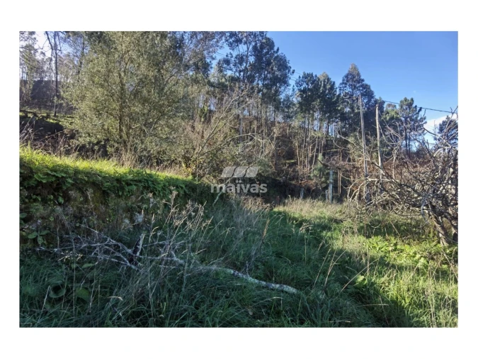 Terreno Misto para Venda em Sobradelo da Goma Foto 24