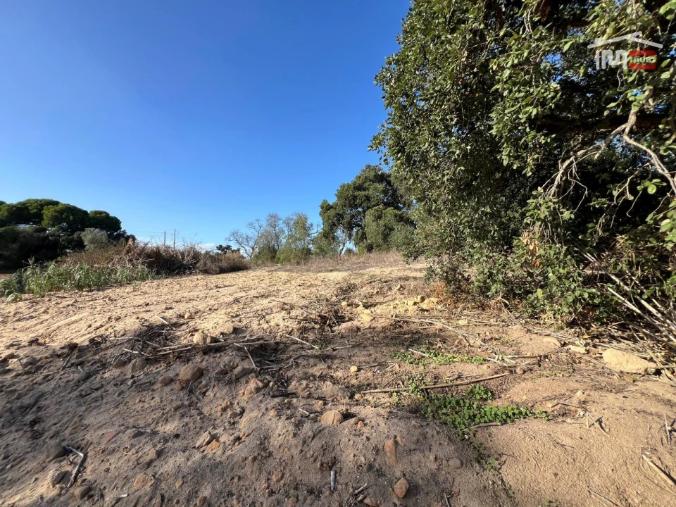 Terreno Agricola ou Rústico para Venda em Montijo e Afonsoeiro Foto 4