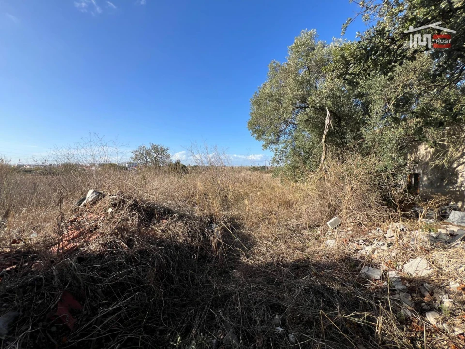 Terreno Agricola ou Rústico para Venda em Montijo e Afonsoeiro Foto 8