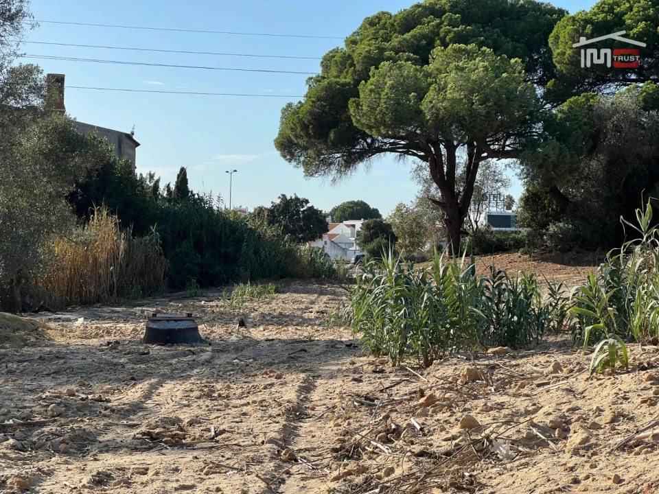 Terreno Agricola ou Rústico para Venda em Montijo e Afonsoeiro Foto 22