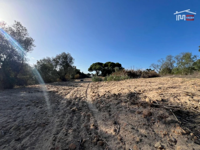 Terreno Agricola ou Rústico para Venda em Montijo e Afonsoeiro Foto 3