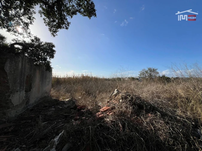 Terreno Agricola ou Rústico para Venda em Montijo e Afonsoeiro Foto 9