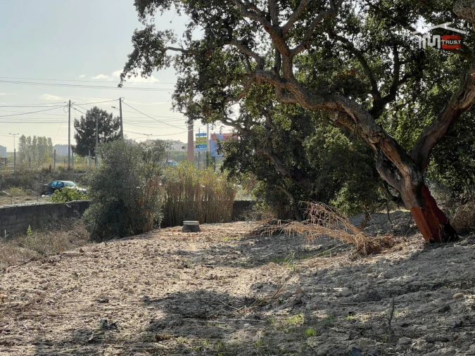 Terreno Agricola ou Rústico para Venda em Montijo e Afonsoeiro Foto 38
