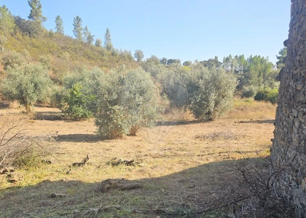 Moradia T2 para Venda em Proença-A-Nova e Peral Foto 6