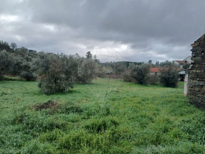 Moradia T2 para Venda em Proença-A-Nova e Peral Foto 19