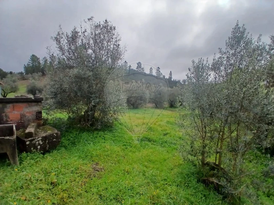 Moradia T2 para Venda em Proença-A-Nova e Peral Foto 11