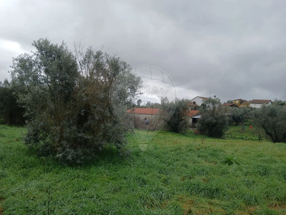 Moradia T2 para Venda em Proença-A-Nova e Peral Foto 16