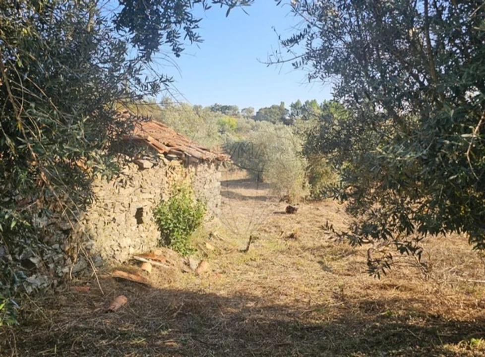 Moradia T2 para Venda em Proença-A-Nova e Peral Foto 3