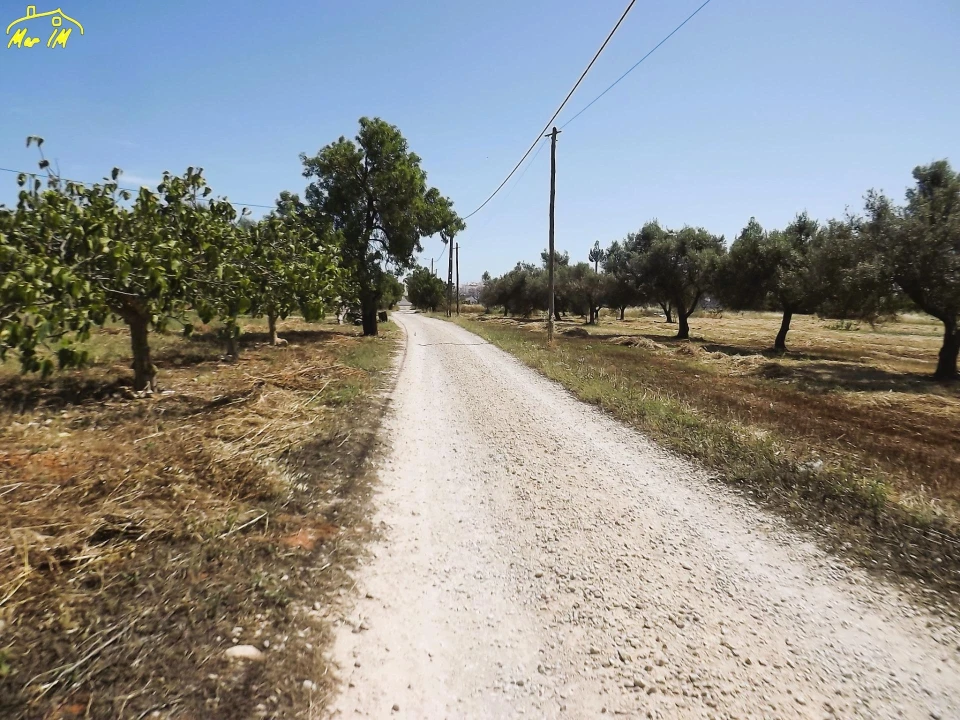 Terreno para Venda em Conceição e Cabanas de Tavira Foto 15