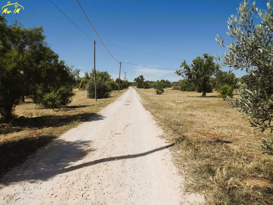 Terreno para Venda em Conceição e Cabanas de Tavira Foto 16