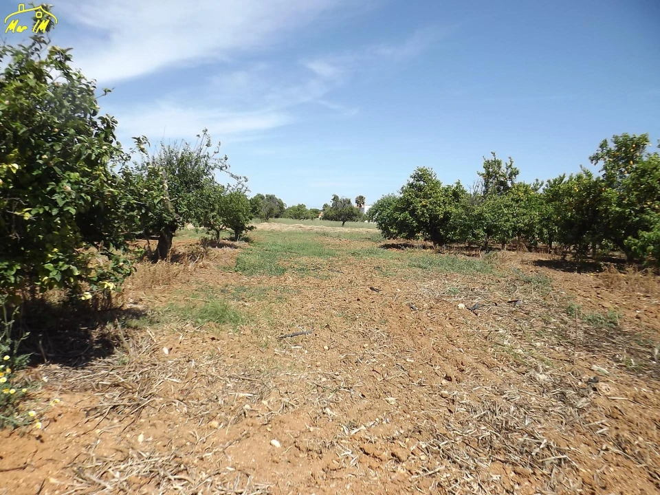 Terreno para Venda em Conceição e Cabanas de Tavira Foto 2