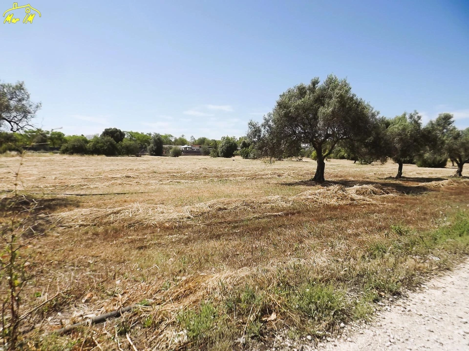 Terreno para Venda em Conceição e Cabanas de Tavira Foto 21