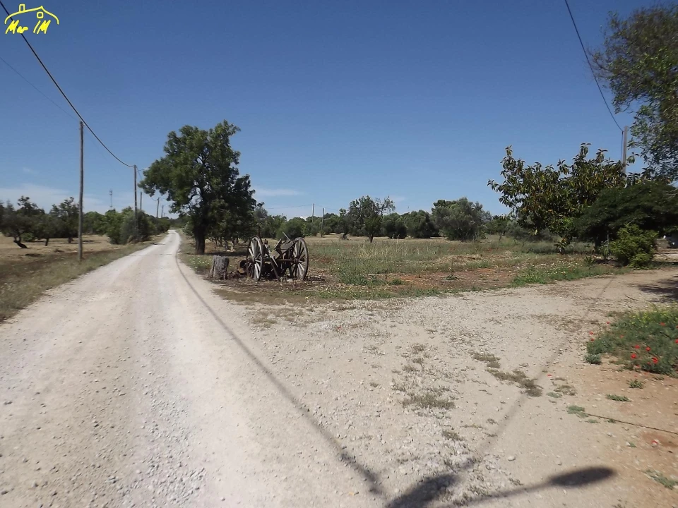 Terreno para Venda em Conceição e Cabanas de Tavira Foto 22