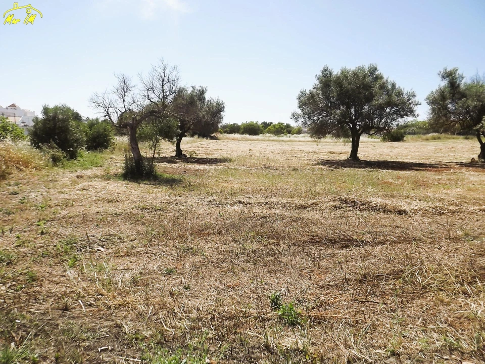 Terreno para Venda em Conceição e Cabanas de Tavira Foto 24