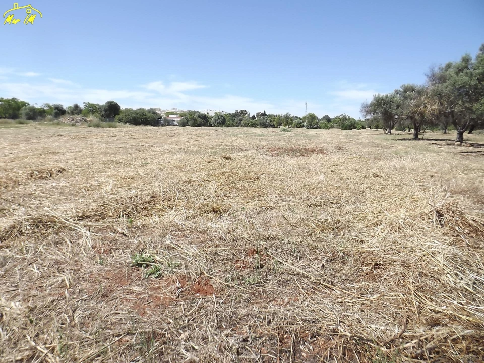 Terreno para Venda em Conceição e Cabanas de Tavira Foto 29