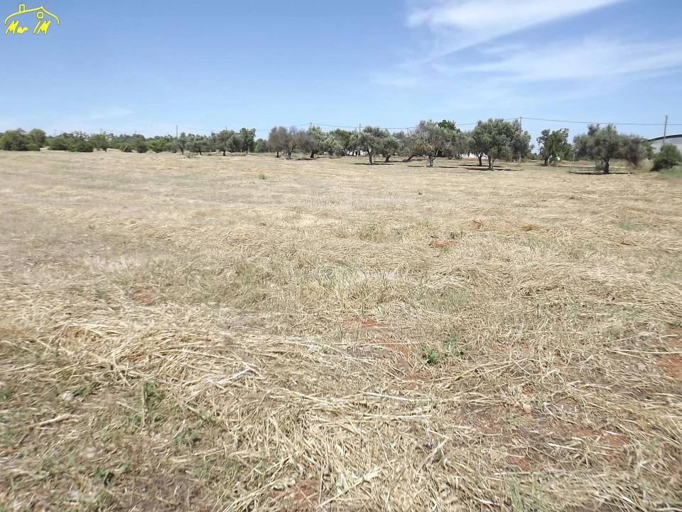 Terreno para Venda em Conceição e Cabanas de Tavira Foto 30