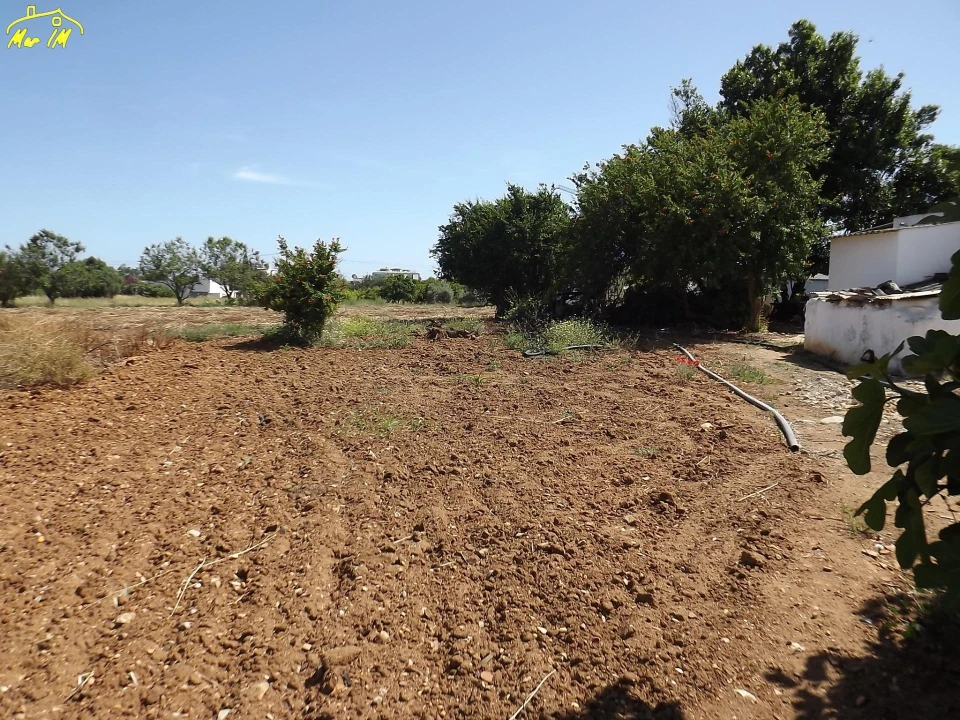 Terreno para Venda em Conceição e Cabanas de Tavira Foto 4