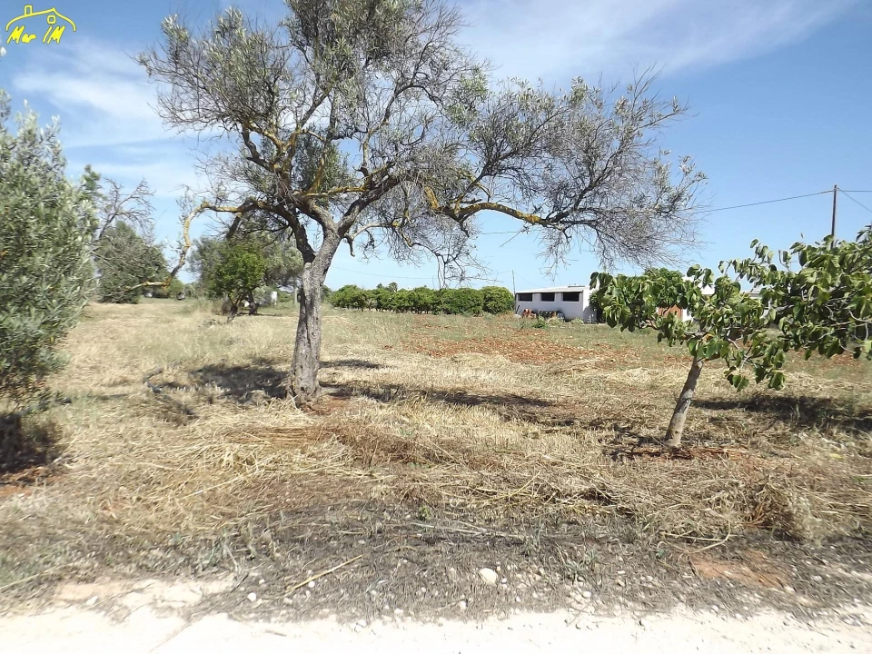 Terreno para Venda em Conceição e Cabanas de Tavira Foto 40