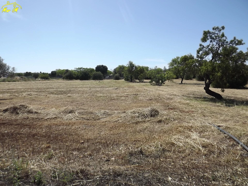 Terreno para Venda em Conceição e Cabanas de Tavira Foto 41
