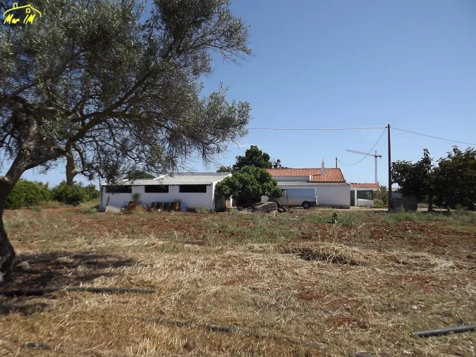 Terreno para Venda em Conceição e Cabanas de Tavira Foto 14
