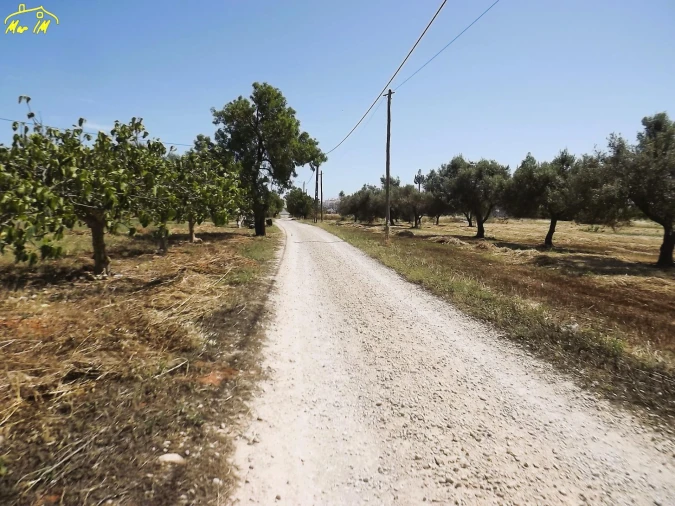 Terreno para Venda em Conceição e Cabanas de Tavira Foto 15