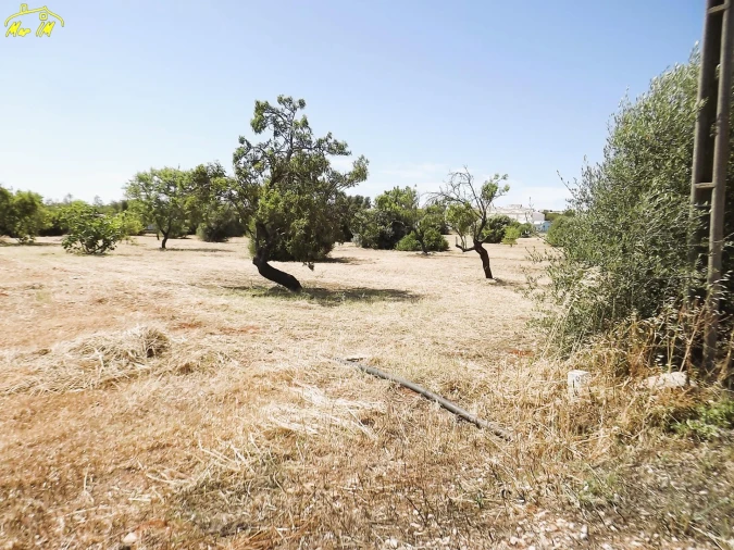 Terreno para Venda em Conceição e Cabanas de Tavira Foto 17
