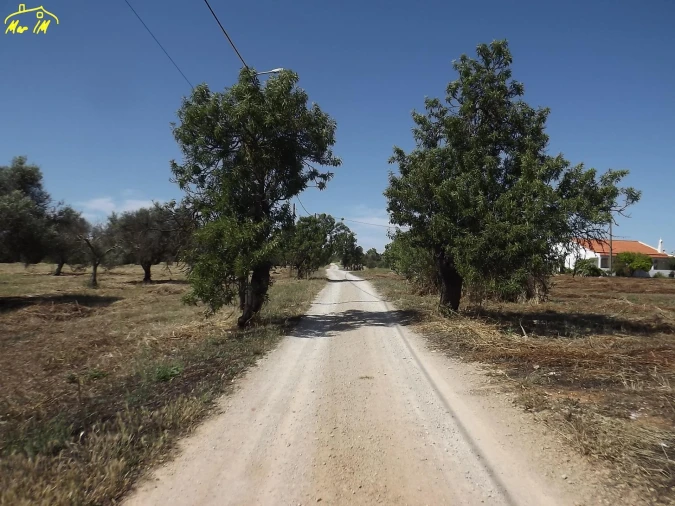 Terreno para Venda em Conceição e Cabanas de Tavira Foto 26