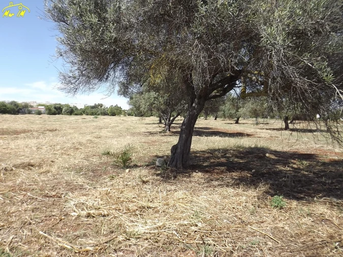 Terreno para Venda em Conceição e Cabanas de Tavira Foto 27