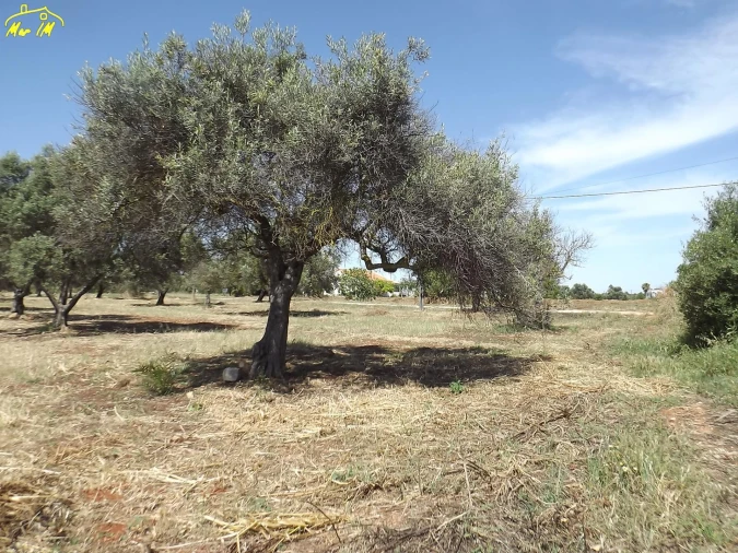 Terreno para Venda em Conceição e Cabanas de Tavira Foto 28