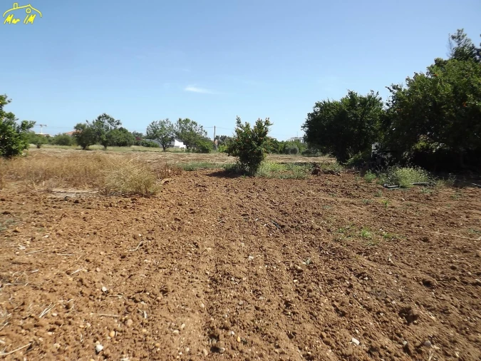 Terreno para Venda em Conceição e Cabanas de Tavira Foto 3