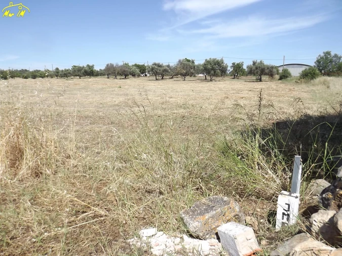 Terreno para Venda em Conceição e Cabanas de Tavira Foto 31