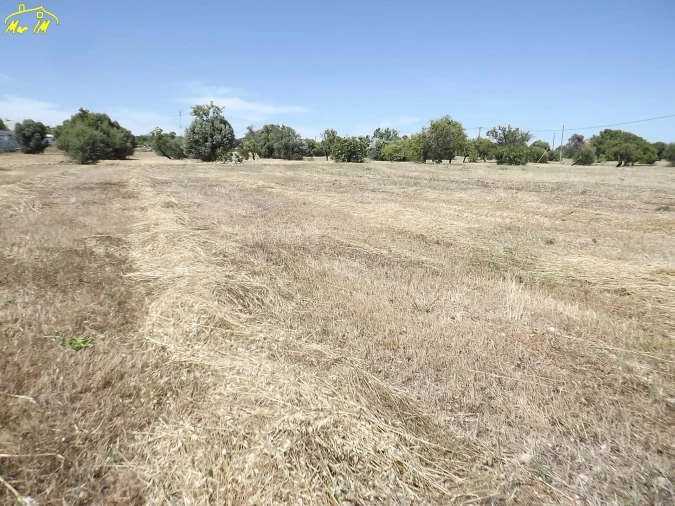 Terreno para Venda em Conceição e Cabanas de Tavira Foto 35