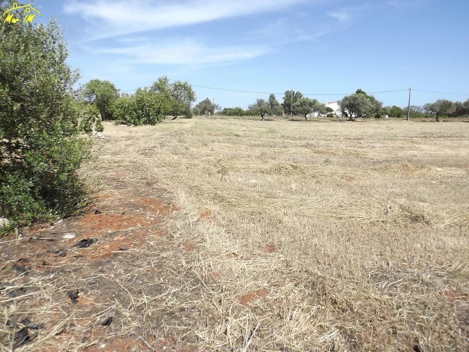 Terreno para Venda em Conceição e Cabanas de Tavira Foto 36
