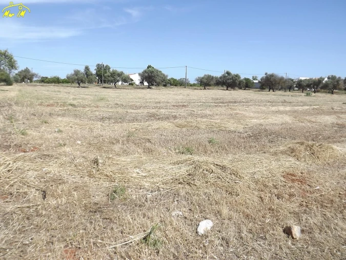 Terreno para Venda em Conceição e Cabanas de Tavira Foto 38